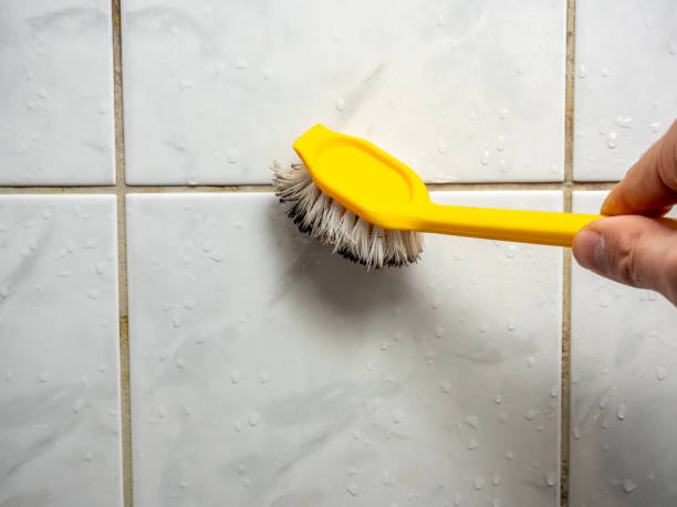 Best DIY Mold Remediation Support Services in Savoy, IL