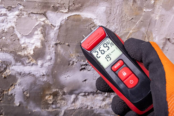 Savoy, IL Mold Remediation Company