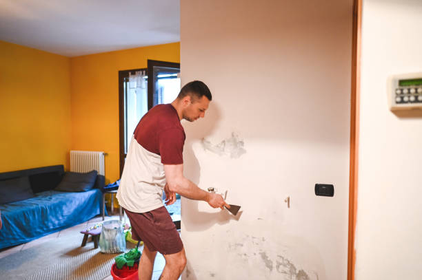 Best Attic Mold Remediation in Savoy, IL